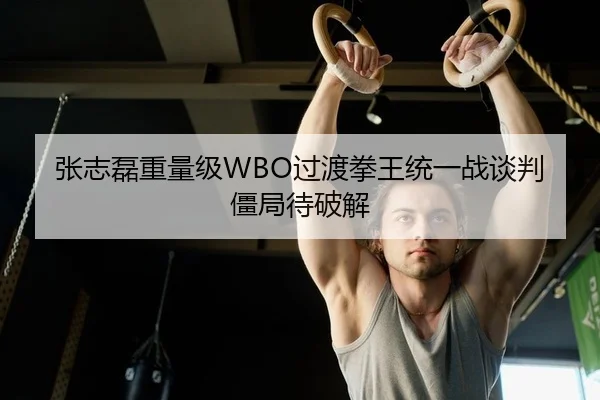 张志磊重量级WBO过渡拳王统一战谈判僵局待破解